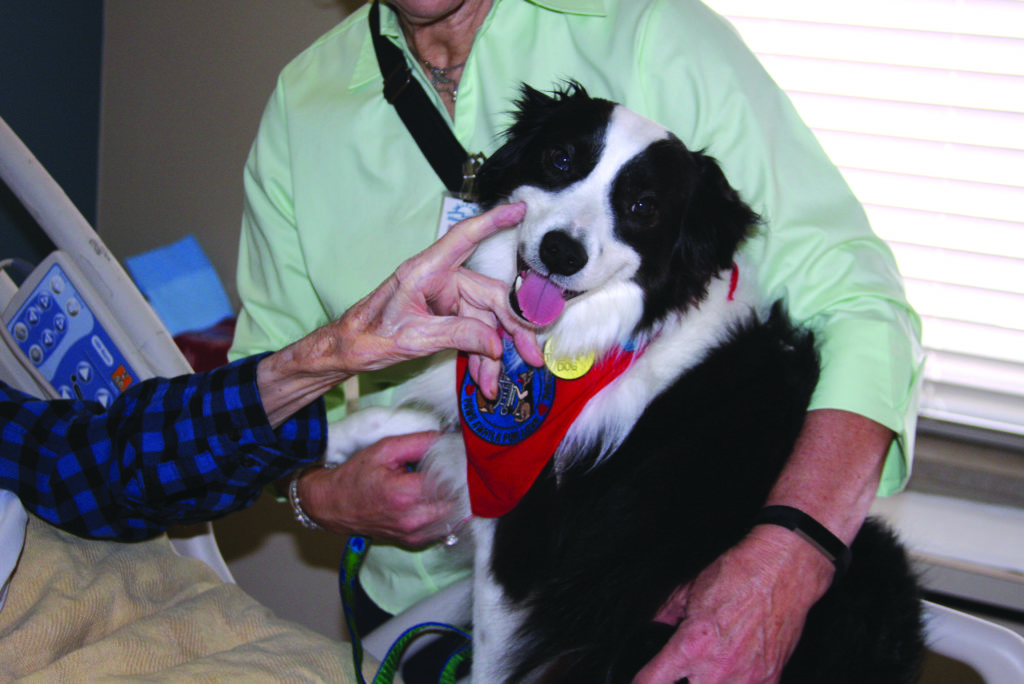 Therapy dog Splash Zakrzewski sits calmly while being petted by a patient at Arkansas Hospice's Ottenheimer Inpatient Center, located at CHI St. Vincent in Little Rock.